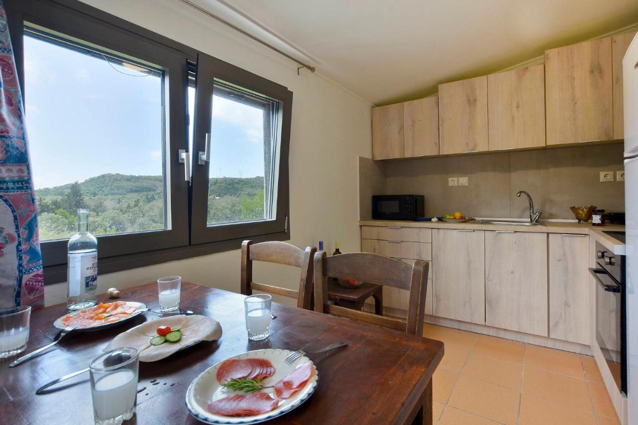 Balukas House Villa Dragotina Luaran gambar