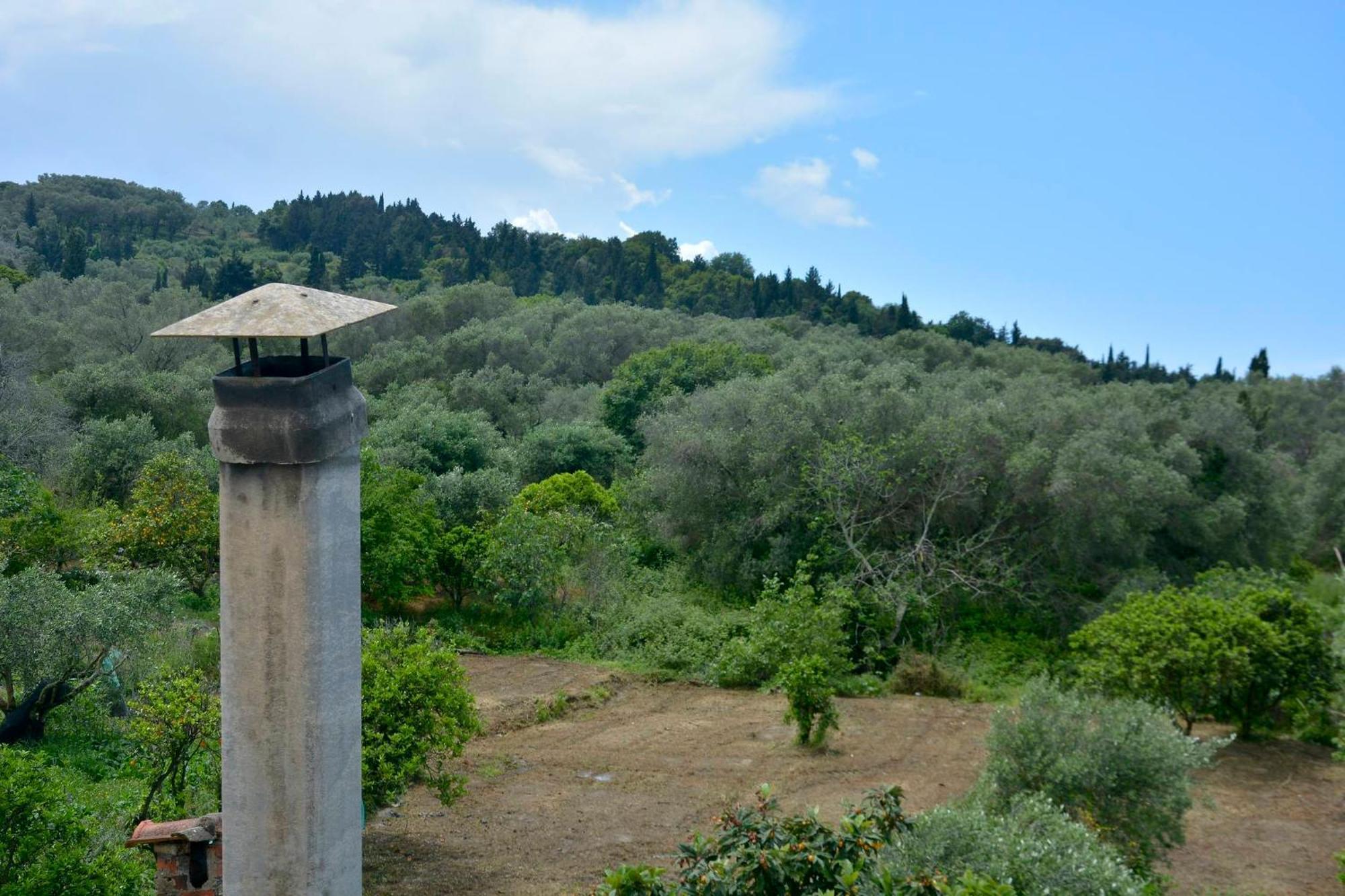 Balukas House Villa Dragotina Bilik gambar
